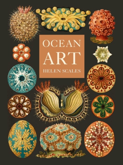 Book cover of: Ocean Art