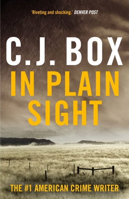 Book cover of: In Plain Sight