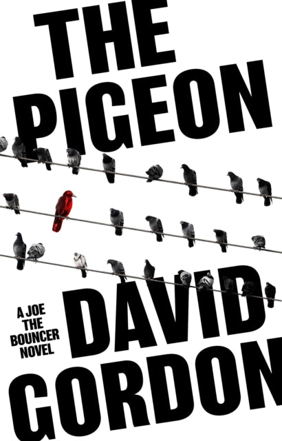 Book cover of: Pigeon. By: David Gordon