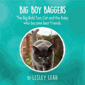 Big Boy Baggers