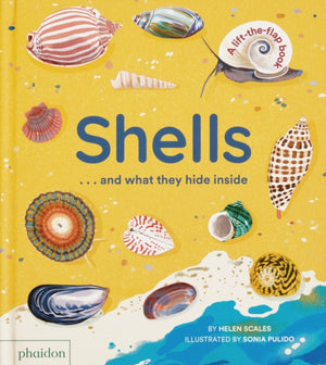Shells... and what they hide inside, A Lift-the-Flap Adventure