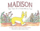 Book cover of: Madison. By: Susan Erickson Catucci