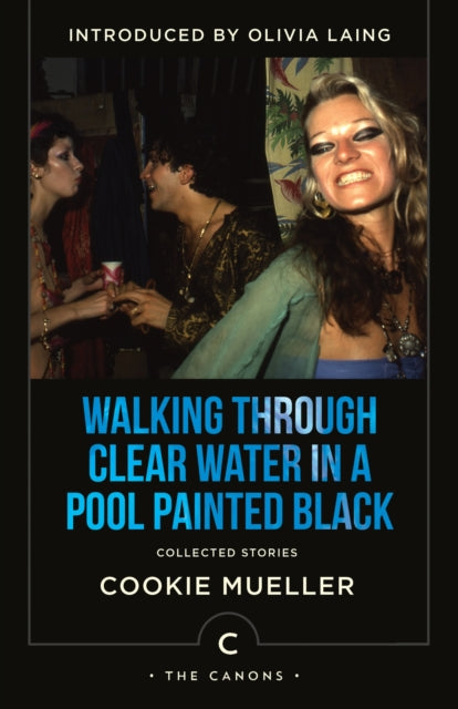 Walking Through Clear Water In a Pool Painted Black, Collected Stories