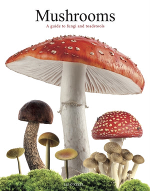 Mushrooms