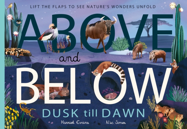 Book cover of: Above and Below: Dusk till Dawn. By: Harriet Evans