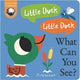 Little Duck! Little Duck! What Can You See? 9781838917975 WARE, KATE