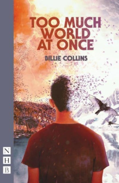 Book cover of: Too Much World at Once. By: Billie Collins