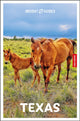 Insight Guides Texas: Travel Guide with eBook 9781839053801 Insight Guides