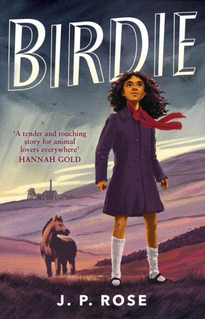 Birdie, A powerful, moving animal and friendship tale for fans of Michael Morpurgo 9781839132414 J. P. Rose
