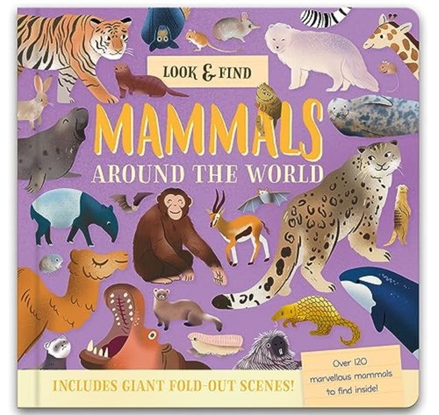 Book cover of: Look & Find