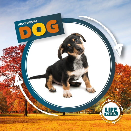 Life Cycle of a Dog 9781839274749 Kirsty Holmes