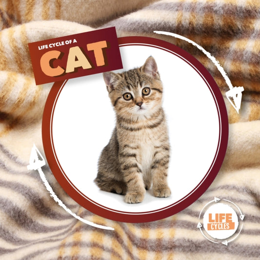 Book cover of: Life Cycle Of A Cat. By: Kirsty Holmes