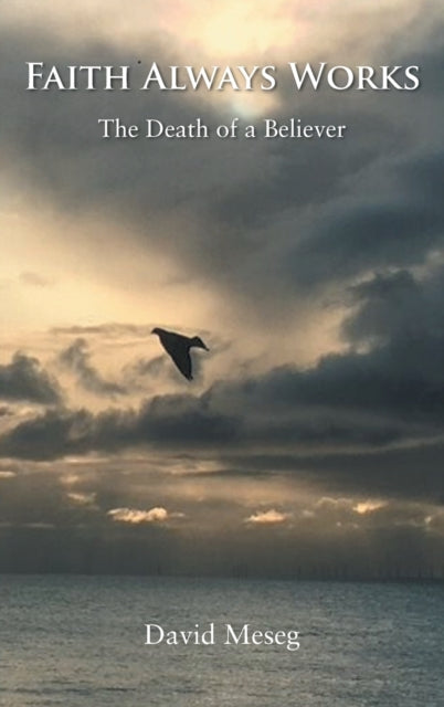 Book cover of: Faith Always Works. By: David Meseg