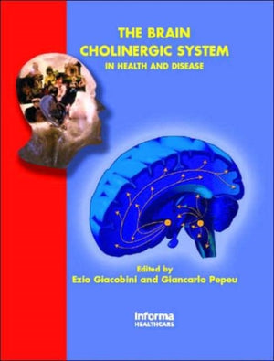 Brain Cholinergic System