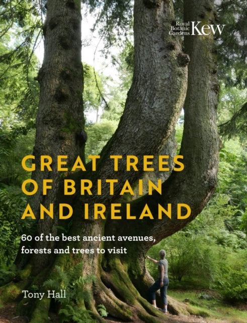 Book cover of: Great Trees of Britain and Ireland. By: Tony Hall