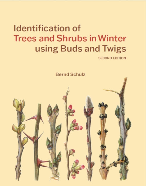 Identification of Trees and Shrubs in Winter using Buds and Twigs 9781842468340 SCHULZ, BERND