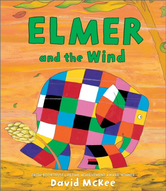 Book cover of: Elmer and the Wind. By: David McKee