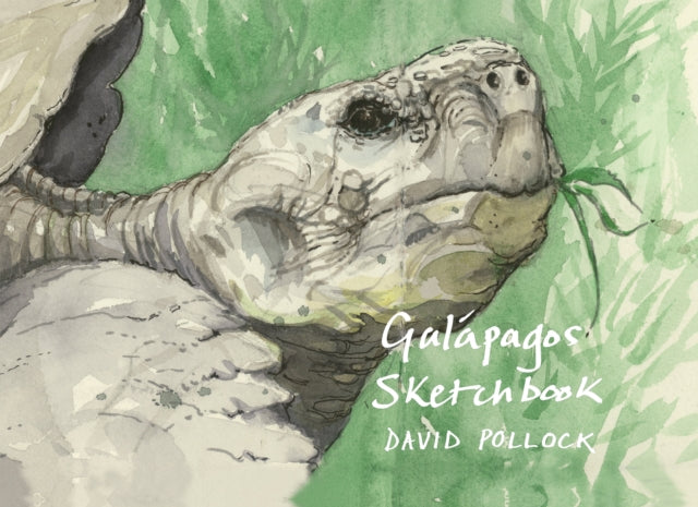 Book cover of: Galapagos Sketchbook. By: Rooney POLLOCK