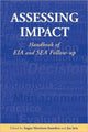 Book cover of: Assessing Impact