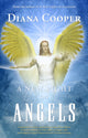 Book cover of: New Light on Angels