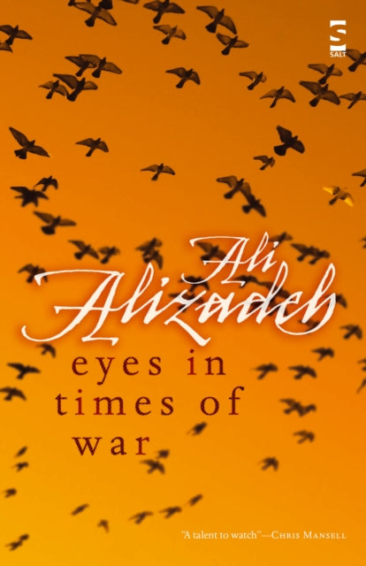 Book cover of: Eyes in Times of War. By: Ali Alizadeh