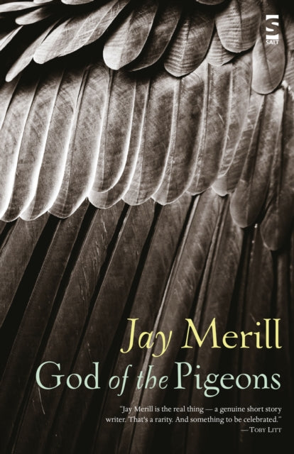 Book cover of: God of the Pigeons