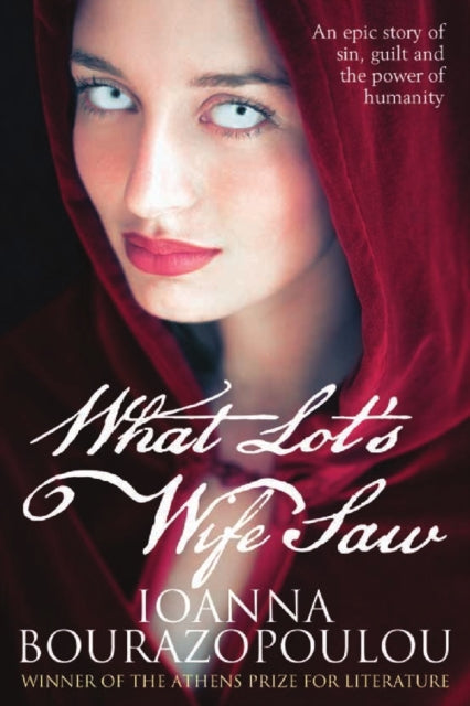 Book cover of: What Lot's Wife Saw