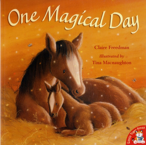 One Magical Day