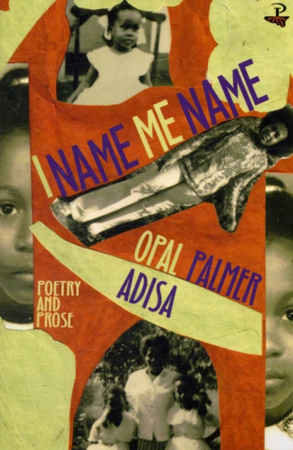 Book cover of: I Name Me Name. By: Opal Palmer Adisa