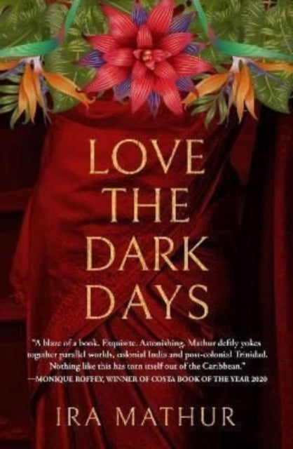 Book cover of: Love the Dark Days. By: MATHUR