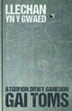 Book cover of: Atgofion drwy ganeuon: Llechan yn y Gwaed