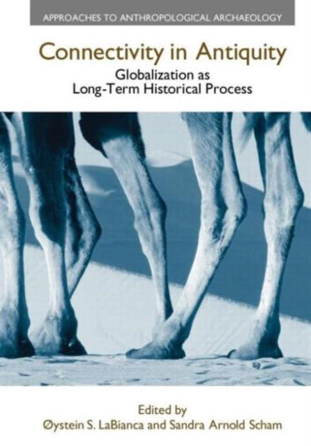 Book cover of: Connectivity in Antiquity