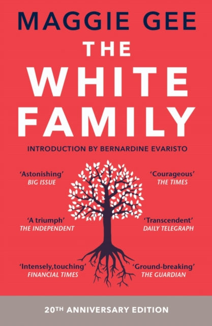 Book cover of: White Family. By: Maggie Gee