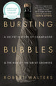Book cover of: Bursting Bubbles. By: Robert Walters