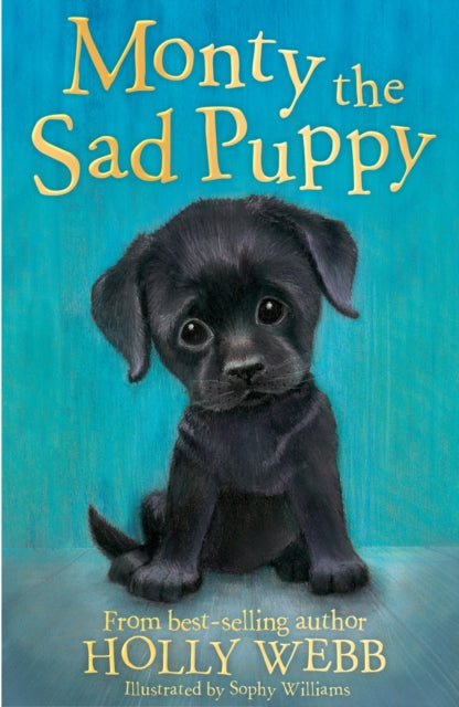 Book cover of: Monty the Sad Puppy. By: Sophy Williams