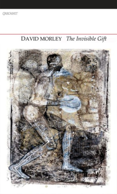 Book cover of: Invisible Gift. By: David Morley