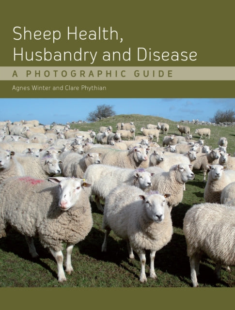 Book cover of: Sheep Health, Husbandry and Disease
