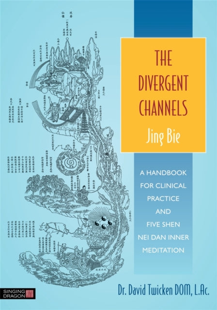 Book cover of: Divergent Channels - Jing Bie