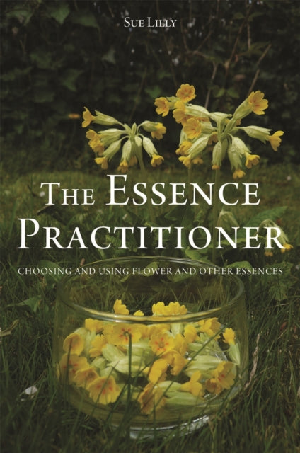 Book cover of: Essence Practitioner. By: Sue Lilly