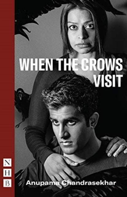 Book cover of: When the Crows Visit. By: Anupama Chandrasekhar