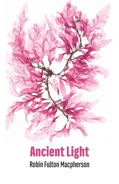 Book cover of: Ancient Light. By: Robin Fulton MacPherson