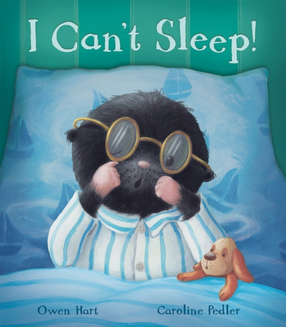 Book cover of: I Can’t Sleep!