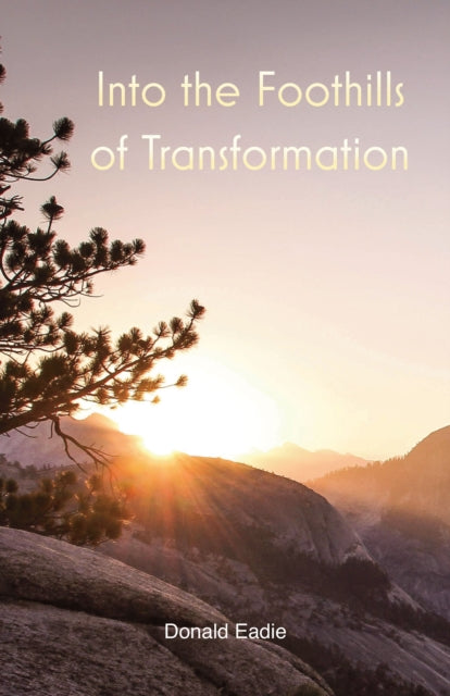 Book cover of: Into the Foothills of Transformation