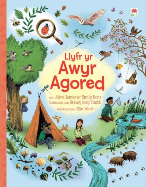 Book cover of: Llyfr yr Awyr Agored. By: James, Alice