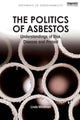Book cover of: Politics of Asbestos. By: Linda Waldman