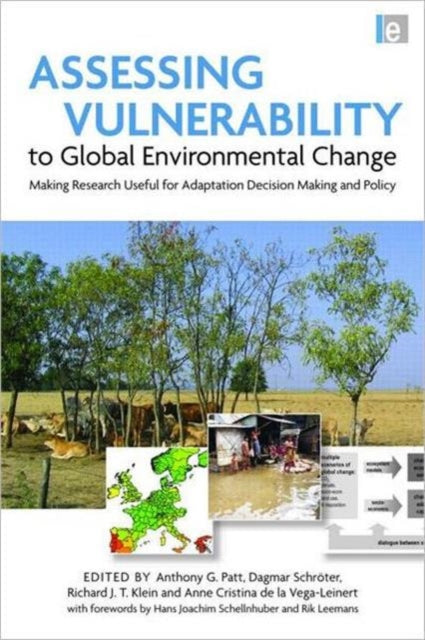 Book cover of: Assessing Vulnerability to Global Environmental Change. By: Anthony G. Patt