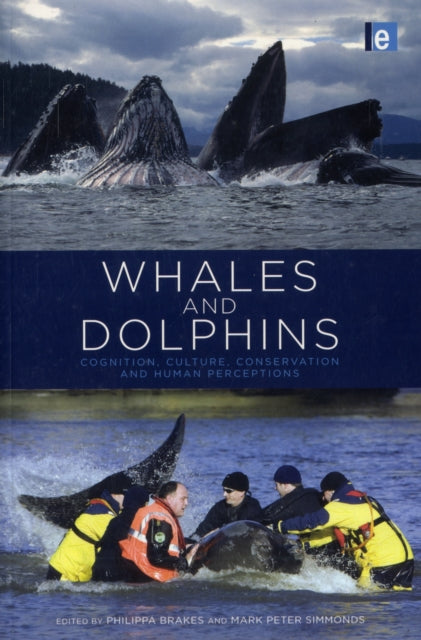 Book cover of: Whales and Dolphins. By: Philippa Brakes