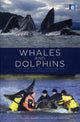 Book cover of: Whales and Dolphins. By: Philippa Brakes