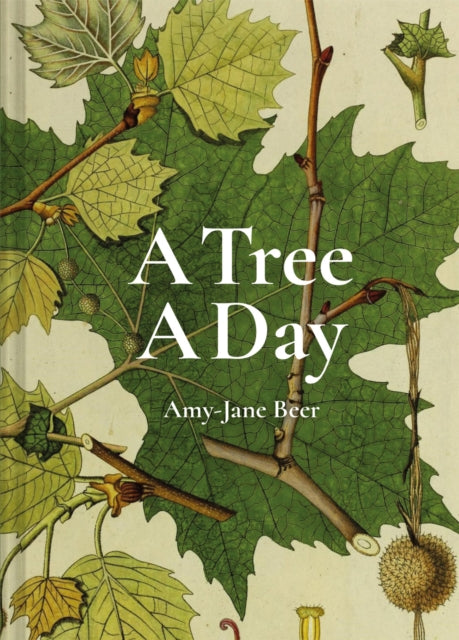 Book cover of: Tree A Day. By: Amy-Jane Beer