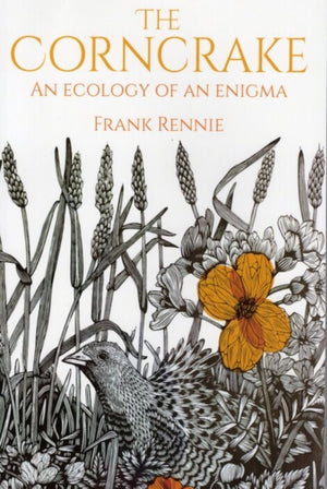 The Corncrake